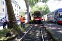 VU Roller KVB Bahn Koeln Luxemburgerstr Neuenhoefer Allee P068